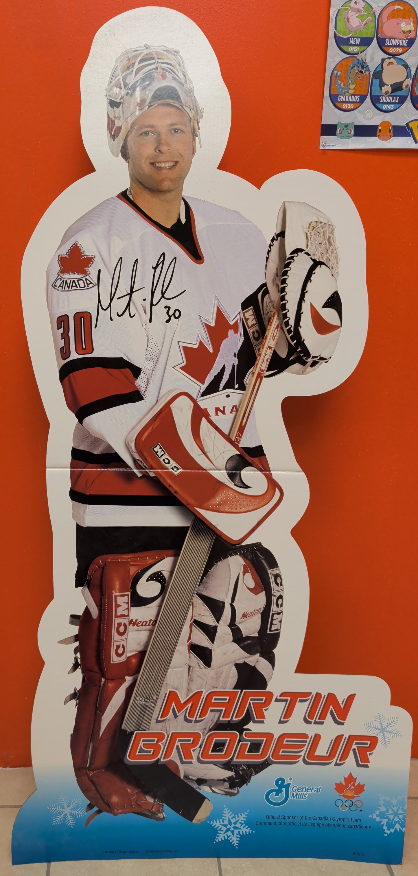 Moyenne Affiche Martin Brodeur
